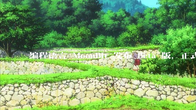 编程语言 MoonBit 发布 Beta 版，正式进入企业场景应用，会带来哪些影响？