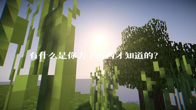 有什么是你去了山西才知道的？