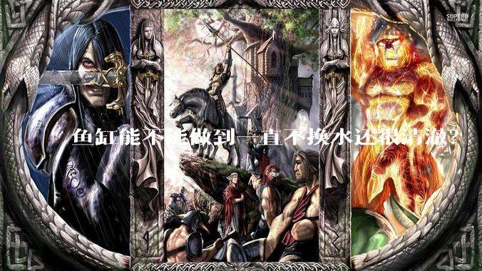 鱼缸能不能做到一直不换水还很清澈？