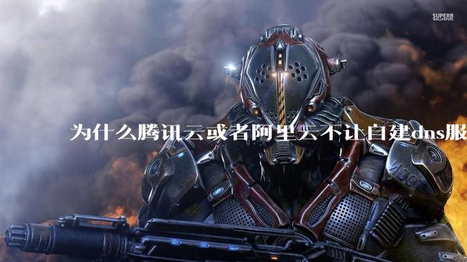 为什么腾讯云或者阿里云不让自建dns服务器?